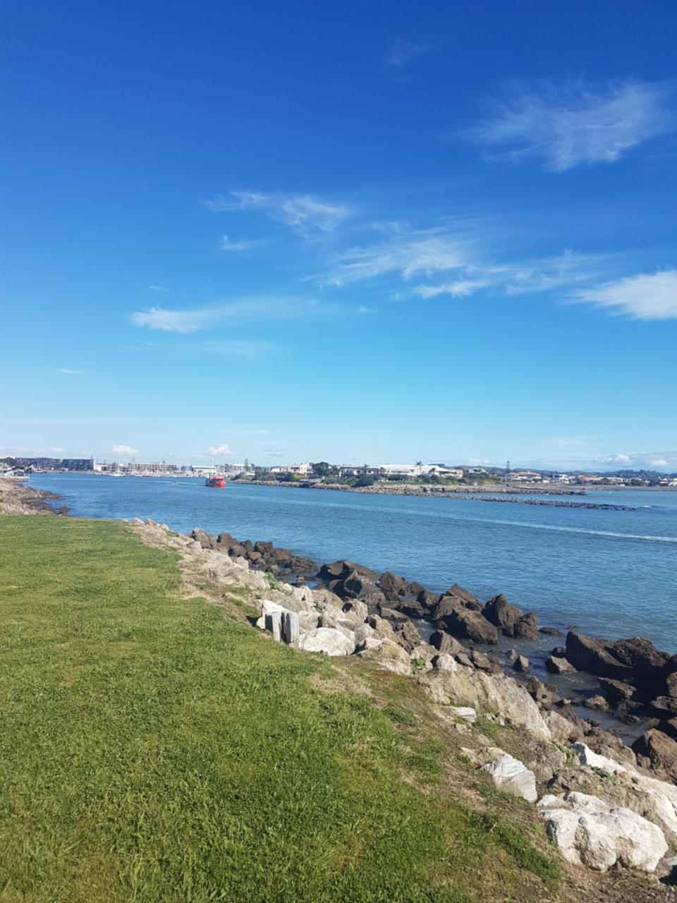 纳皮尔 阿奇邦克旅舍旅舍 外观 照片